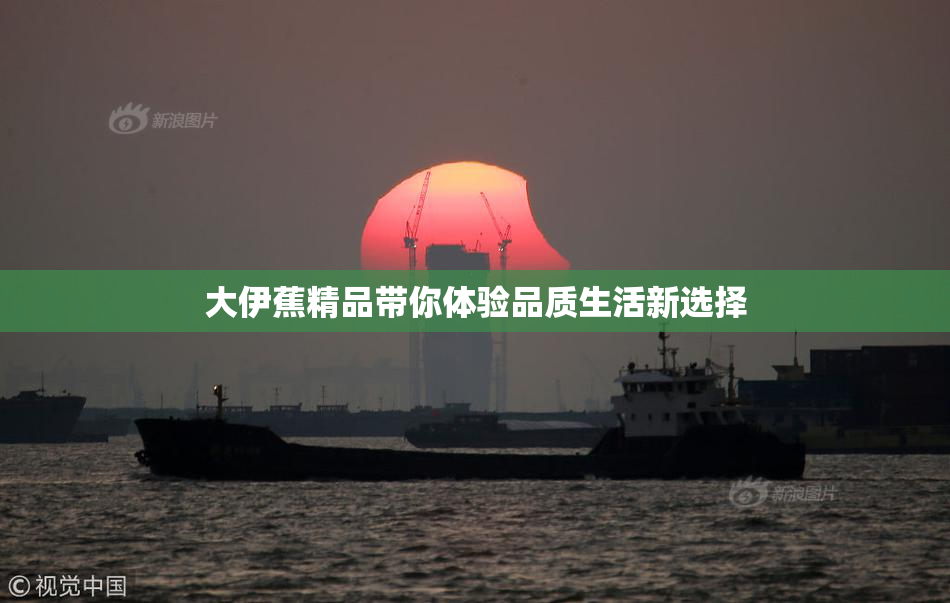 大伊蕉精品带你体验品质生活新选择