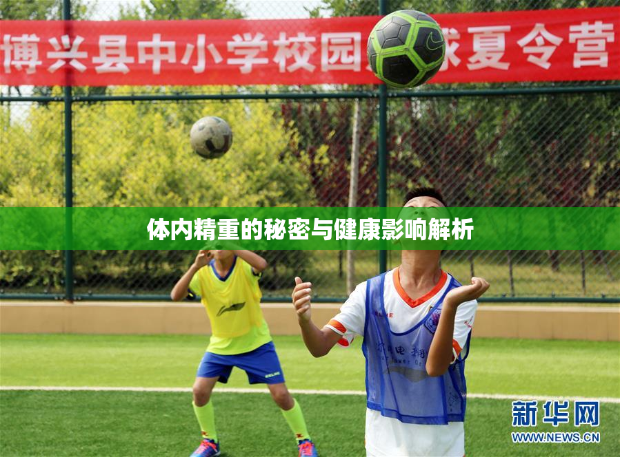 体内精重的秘密与健康影响解析