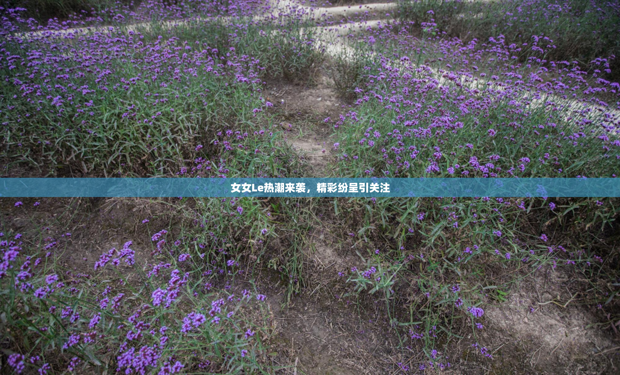 女女Le热潮来袭，精彩纷呈引关注