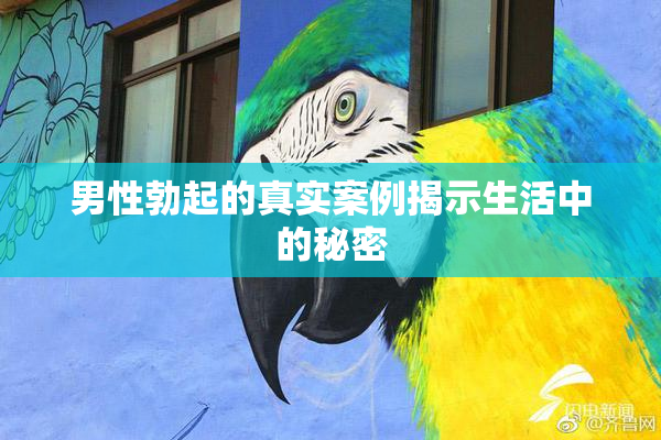 男性勃起的真实案例揭示生活中的秘密