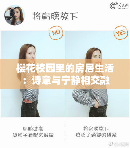 樱花校园里的房居生活：诗意与宁静相交融