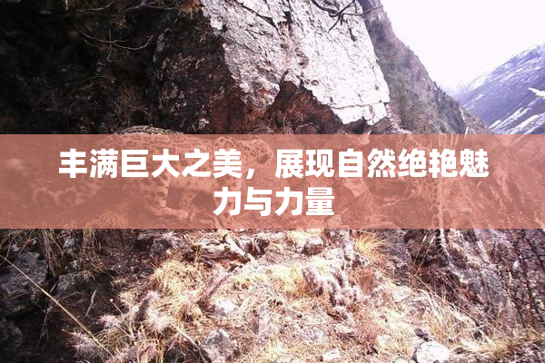 丰满巨大之美，展现自然绝艳魅力与力量
