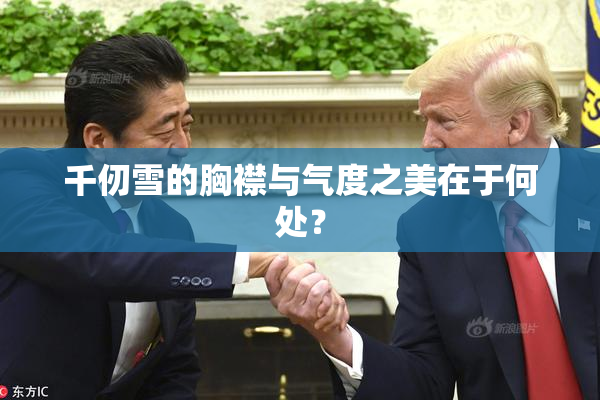 千仞雪的胸襟与气度之美在于何处？