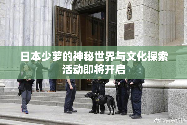 日本少萝的神秘世界与文化探索活动即将开启
