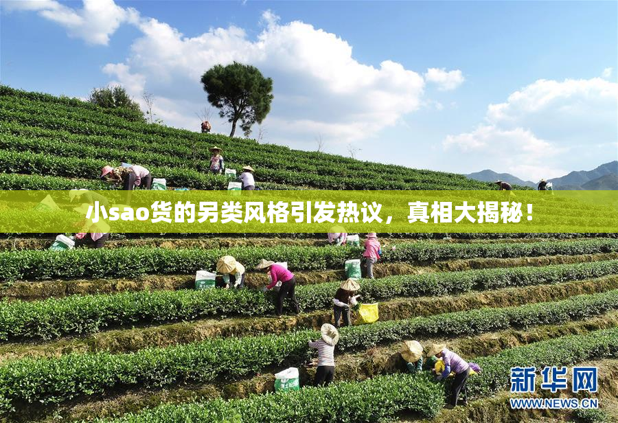 小sao货的另类风格引发热议，真相大揭秘！