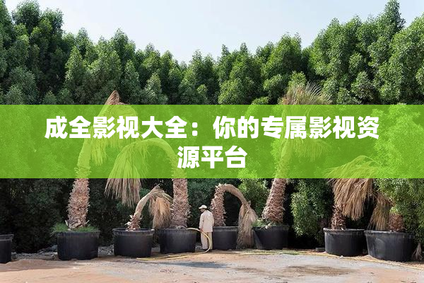成全影视大全：你的专属影视资源平台