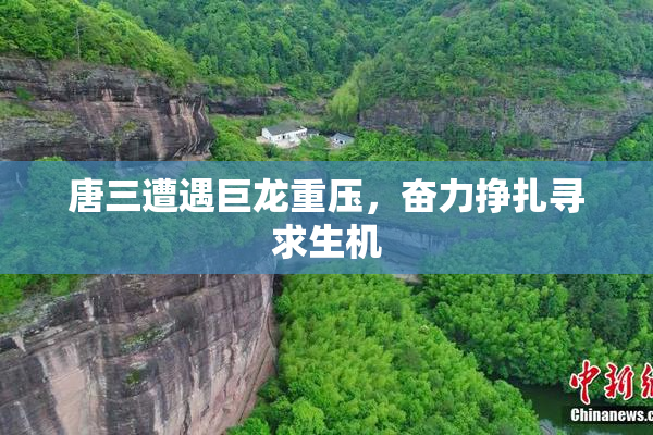 唐三遭遇巨龙重压，奋力挣扎寻求生机