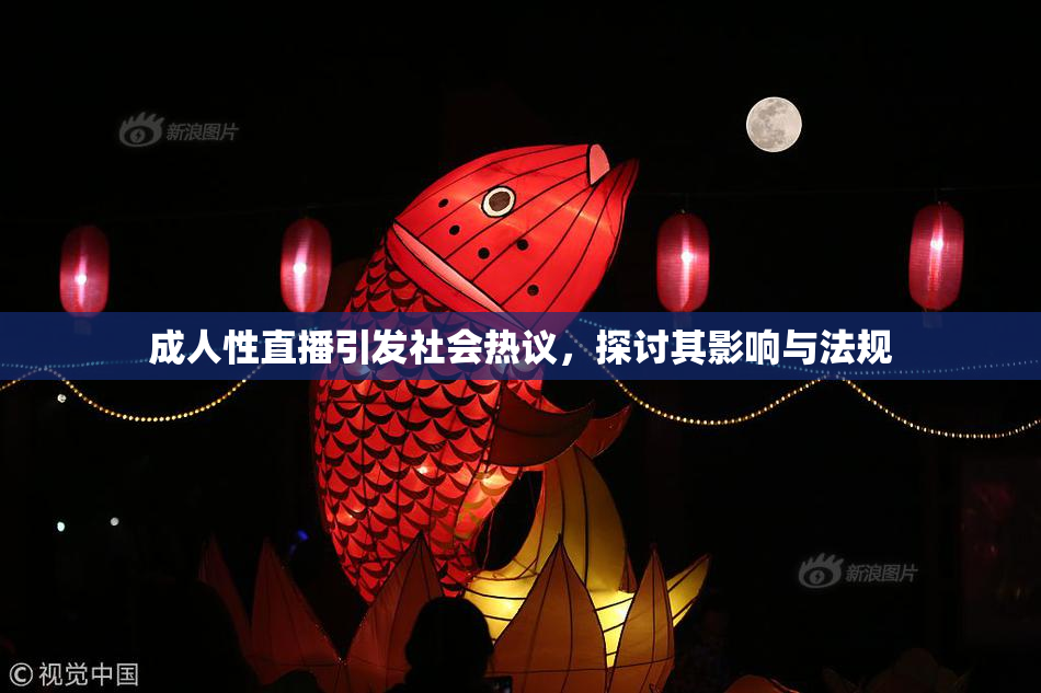 成人性直播引发社会热议，探讨其影响与法规