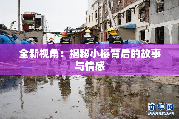 全新视角：揭秘小樱背后的故事与情感