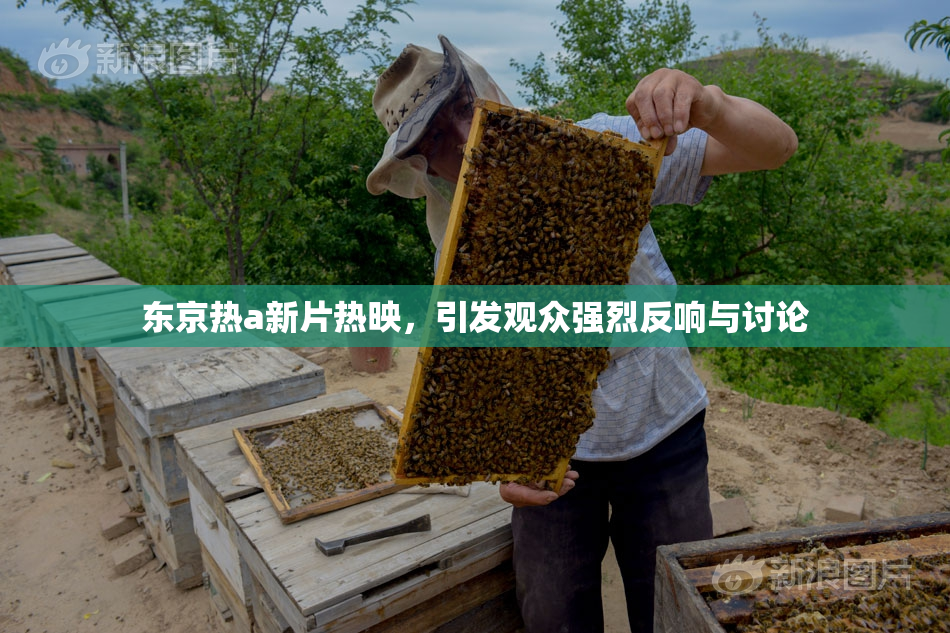 东京热a新片热映，引发观众强烈反响与讨论
