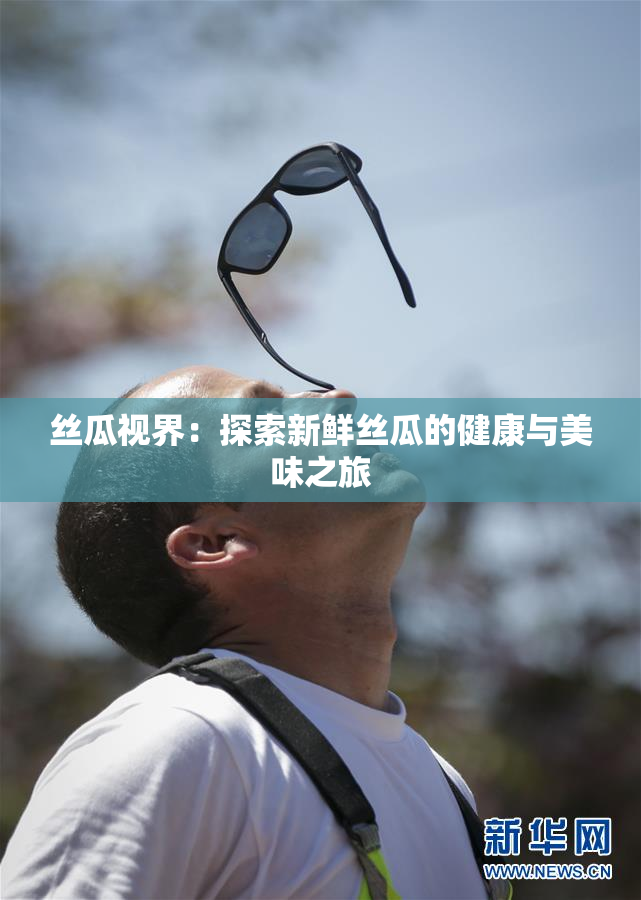 丝瓜视界：探索新鲜丝瓜的健康与美味之旅