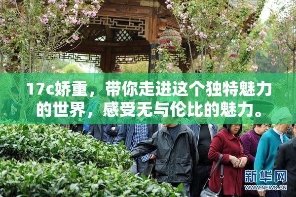 17c娇重，带你走进这个独特魅力的世界，感受无与伦比的魅力。