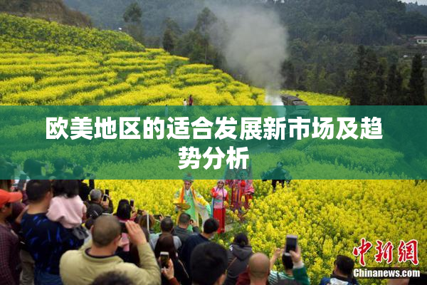 欧美地区的适合发展新市场及趋势分析