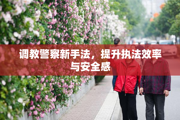 调教警察新手法，提升执法效率与安全感