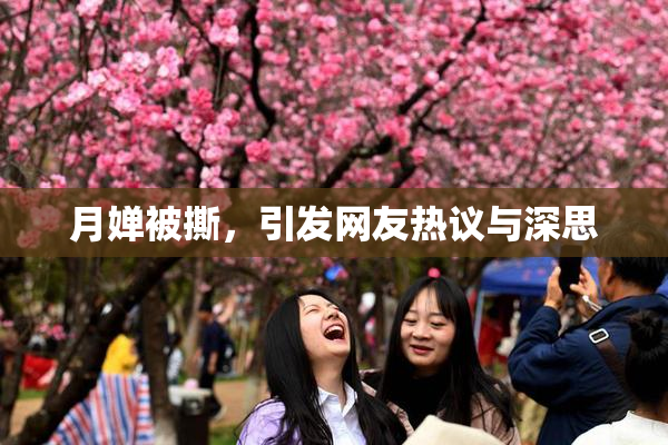 月婵被撕，引发网友热议与深思
