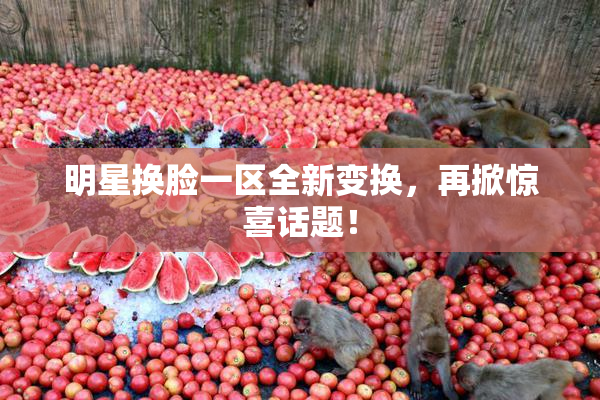 明星换脸一区全新变换，再掀惊喜话题！