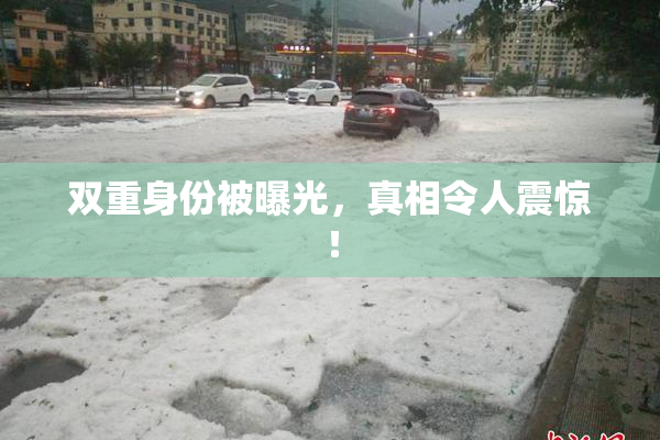 双重身份被曝光，真相令人震惊！