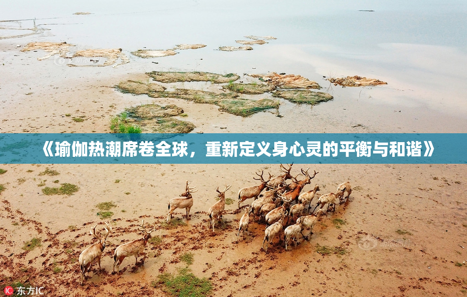 《瑜伽热潮席卷全球，重新定义身心灵的平衡与和谐》
