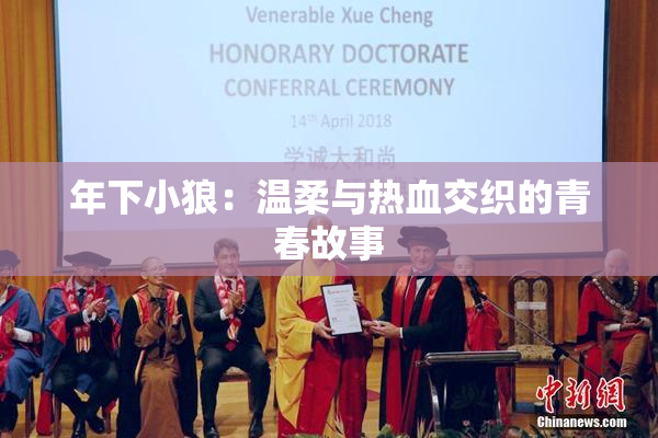 年下小狼：温柔与热血交织的青春故事