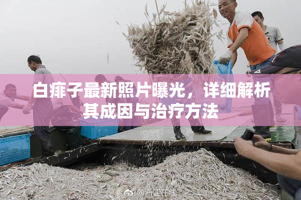白痱子最新照片曝光，详细解析其成因与治疗方法