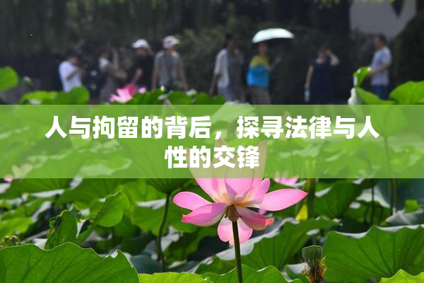 人与拘留的背后，探寻法律与人性的交锋