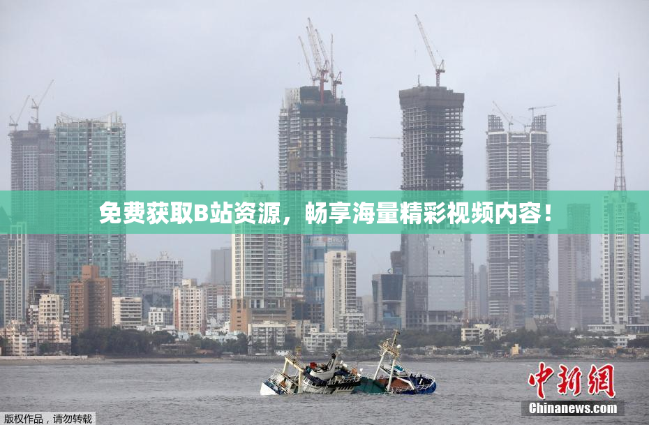 免费获取B站资源，畅享海量精彩视频内容！