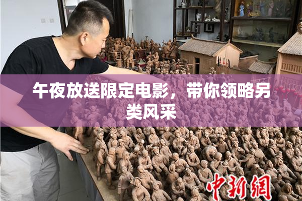 午夜放送限定电影，带你领略另类风采