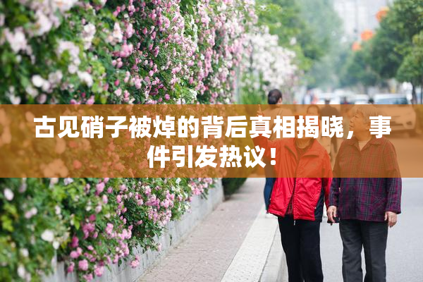 古见硝子被焯的背后真相揭晓，事件引发热议！