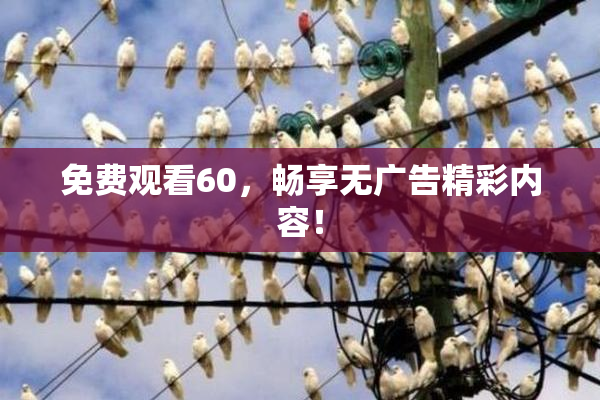 免费观看60，畅享无广告精彩内容！