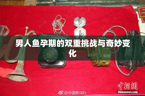 男人鱼孕期的双重挑战与奇妙变化