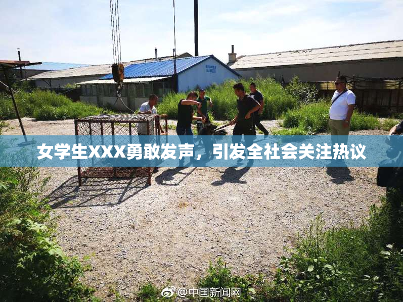 女学生XXX勇敢发声，引发全社会关注热议