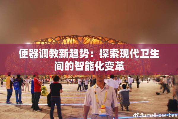 便器调教新趋势：探索现代卫生间的智能化变革
