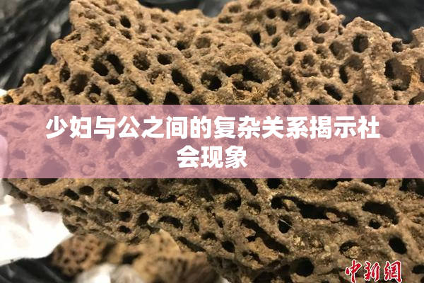 少妇与公之间的复杂关系揭示社会现象