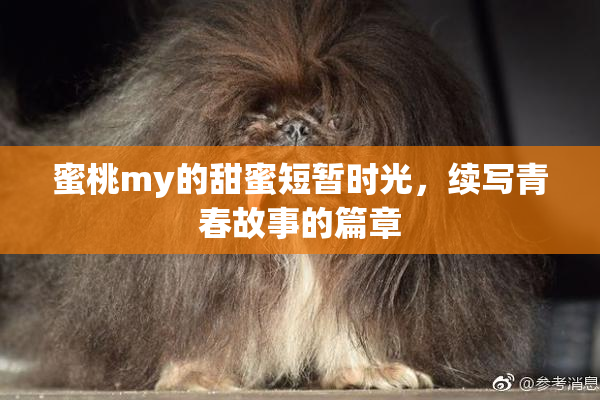 蜜桃my的甜蜜短暂时光，续写青春故事的篇章