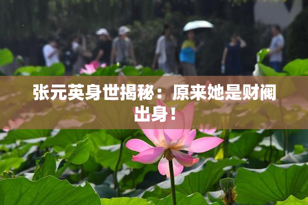 张元英身世揭秘：原来她是财阀出身！