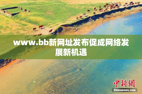 www.bb新网址发布促成网络发展新机遇