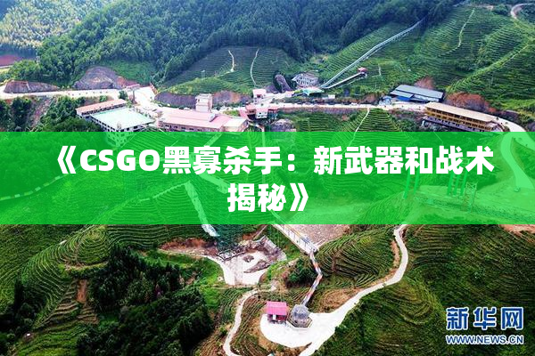 《CSGO黑寡杀手：新武器和战术揭秘》