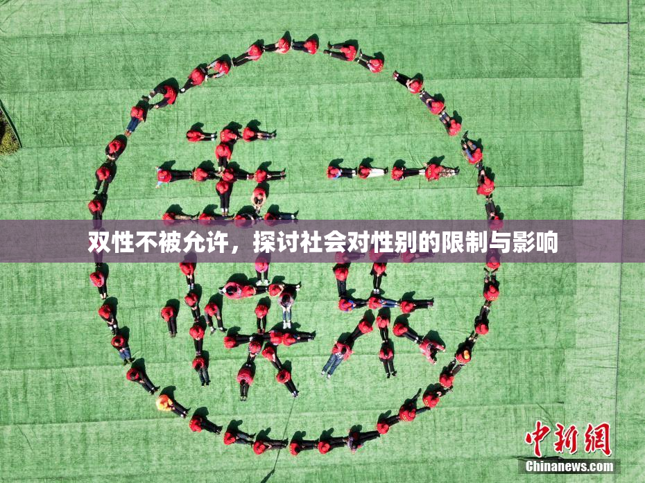 双性不被允许，探讨社会对性别的限制与影响