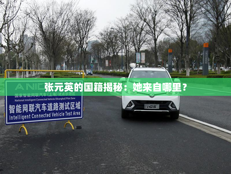 张元英的国籍揭秘：她来自哪里？