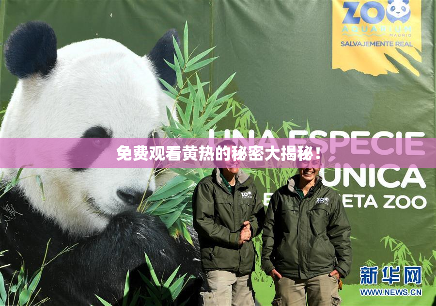 免费观看黄热的秘密大揭秘！