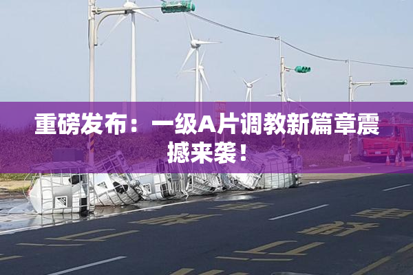重磅发布：一级A片调教新篇章震撼来袭！