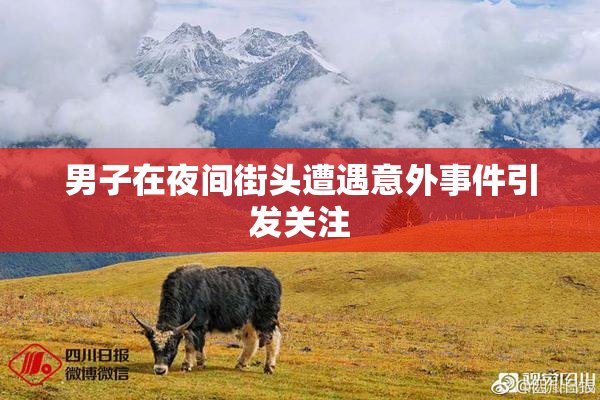 男子在夜间街头遭遇意外事件引发关注