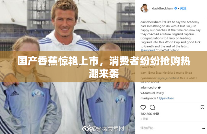 国产香蕉惊艳上市，消费者纷纷抢购热潮来袭