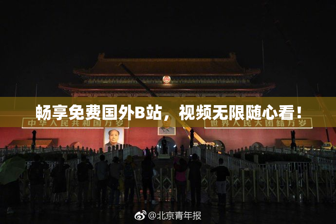畅享免费国外B站，视频无限随心看！