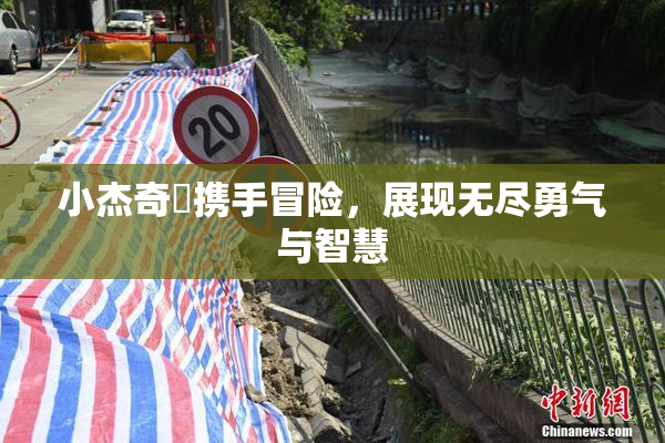 小杰奇犽携手冒险，展现无尽勇气与智慧
