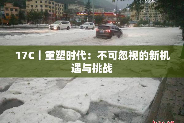 17C丨重塑时代：不可忽视的新机遇与挑战