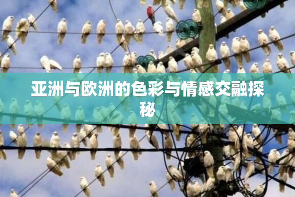 亚洲与欧洲的色彩与情感交融探秘