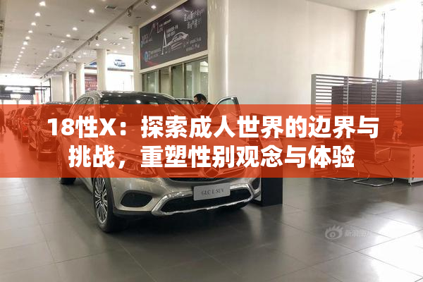18性X：探索成人世界的边界与挑战，重塑性别观念与体验