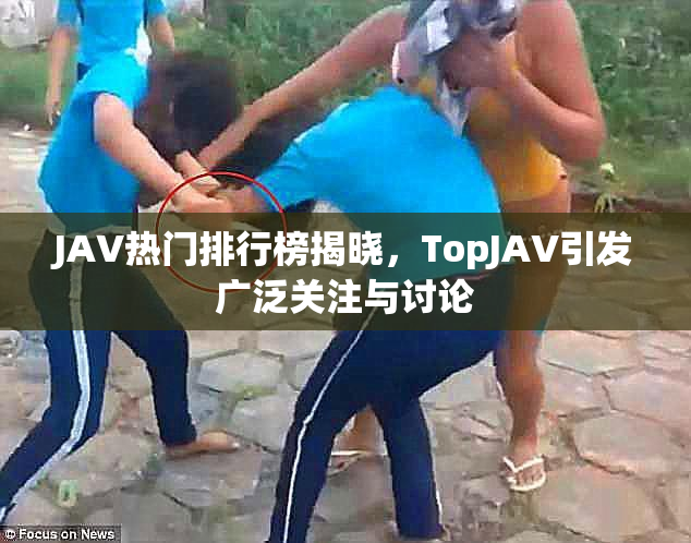 JAV热门排行榜揭晓，TopJAV引发广泛关注与讨论
