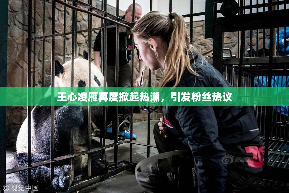 王心凌雁再度掀起热潮，引发粉丝热议
